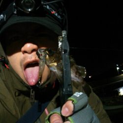 レガーメ　牙突